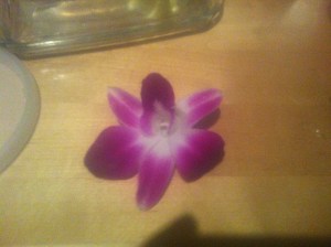 picture of Orchid from Mango Sticky Rice